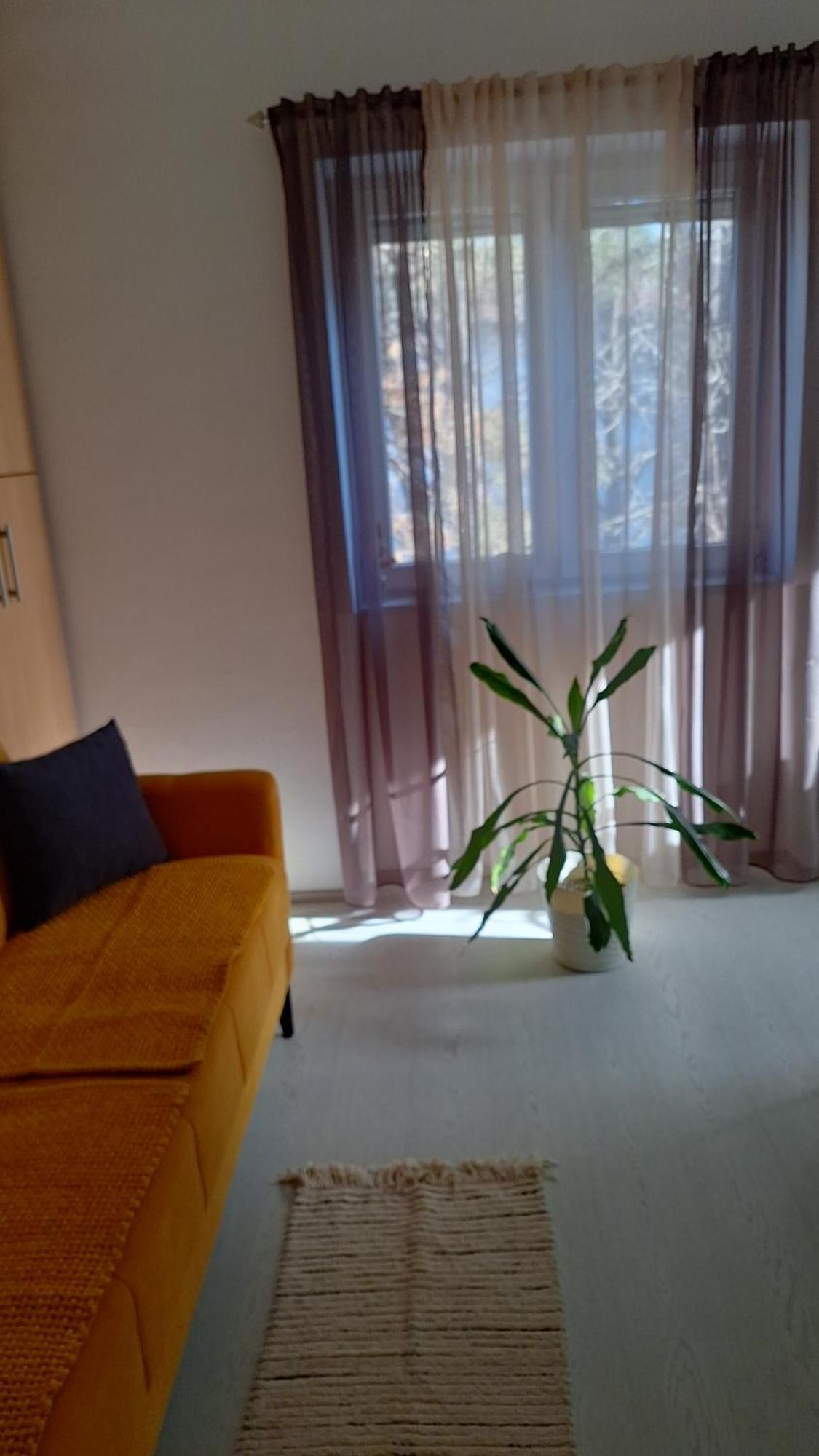 Apartman Maja Apartment Belgrade Exterior photo