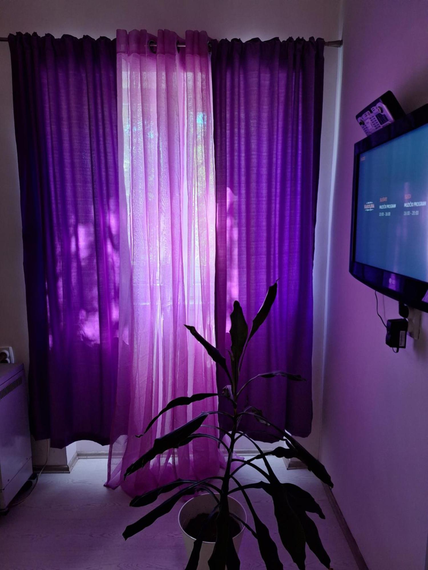 Apartman Maja Apartment Belgrade Exterior photo