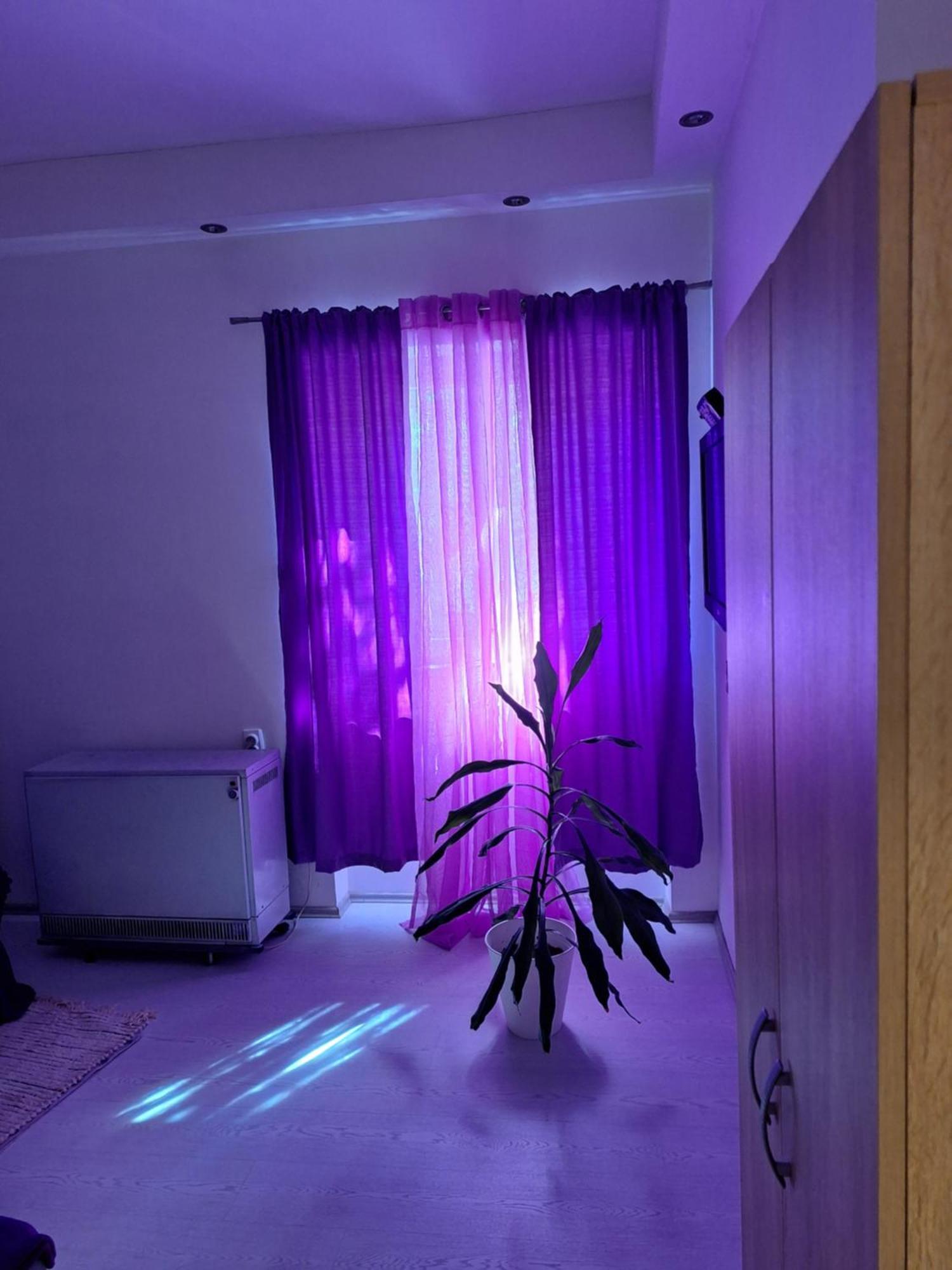Apartman Maja Apartment Belgrade Exterior photo